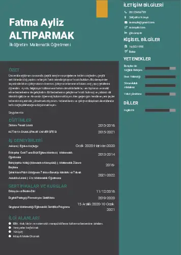 Matematik Öğretmeni Cv Örnekleri cv indir